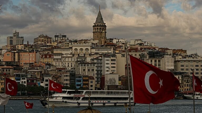 Polish and Turkish flags representing investment