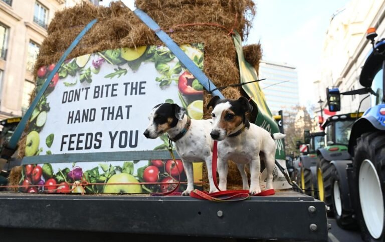 Labour Party's Inheritance Tax Reform Plans